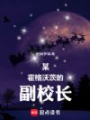 某霍格沃茨的副校长