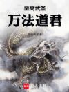 至高武圣,万法道君